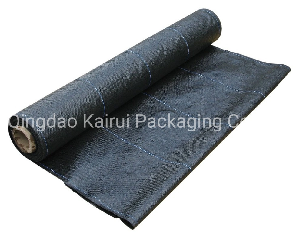 200G/M2 UV Protection Wholesale Weed Mat Ground Cover Silt Fence Black Fabric Plastic PP Woven Geotextile