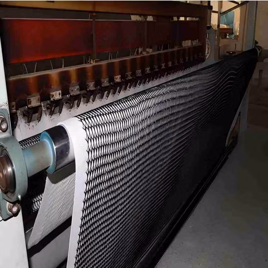 Composite Drainage Geonet for Landfill