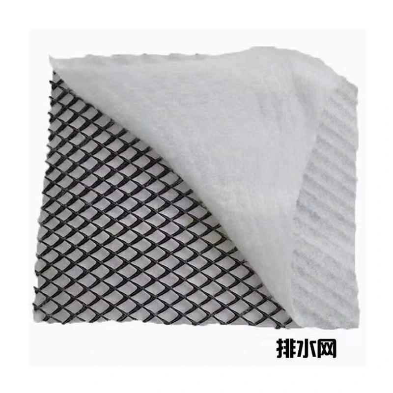 HDPE Lower Weight Geocomposite Geonet Plastic Mesh Geotextile Compound