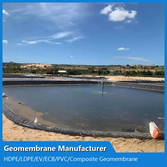 HDPE ジオメンブレン価格 0.75 ミリメートル 1 ミリメートル防水ジオメンブレンプラスチック池ライナー防水水族館ライナー防水膜