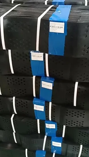 Geocelda Geocell HDPE プラスチックセルラー閉じ込めシステム建設および法面保護のための浸食保護