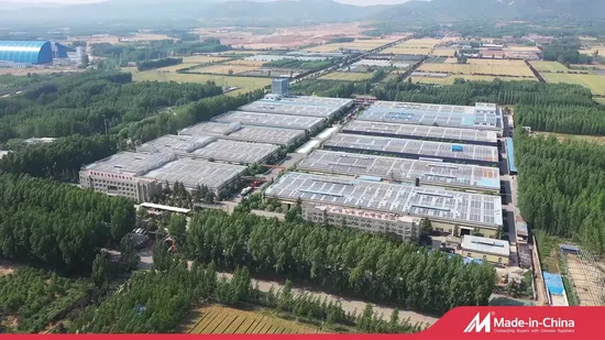 中国の HDPE プラスチック ジオセル擁壁